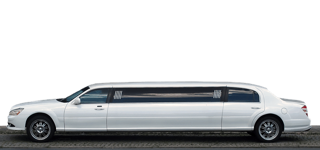 Despedida de soltera en limusina: Champán, Luces & Diversión