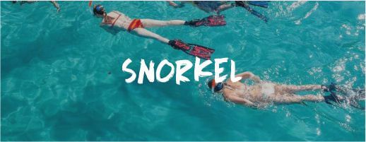 Snorkel Despedida de Soltera y Soltero Mallorca Paradise Events