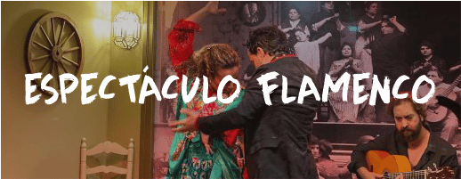 espectaculo flamenco sevilla despedida soltero soltera paradise events