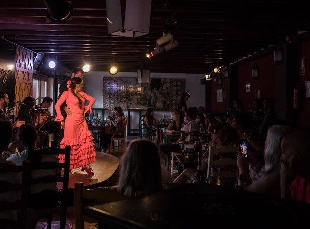 Cena con Espectaculo flamenco en granada