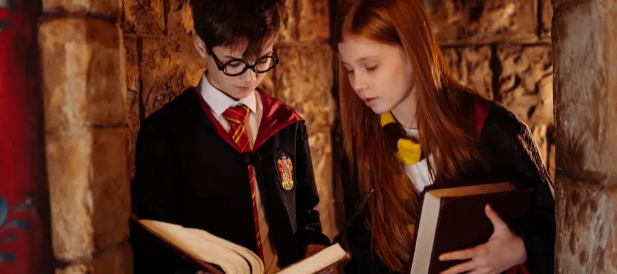 despedida soltera harry potter