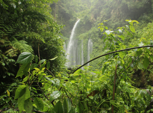 Costa Rica Despedida de Soltero y Soltera Paradise Events