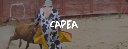 Capea Cádiz Despedida de Soltero y Soltera Paradise Events