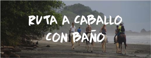 Ruta a Caballo Despedida Soltero Soltera Costa Rica Paradise Events Ruta a Caballo Despedida Soltero Soltera Costa Rica Paradise Events