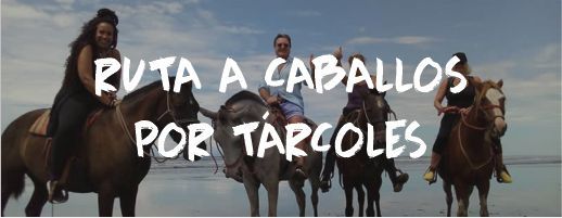Ruta a Caballo Tárcoles Despedida Soltero Soltera Costa Rica Paradise Events Ruta a Caballo Tárcoles Despedida Soltero Soltera Costa Rica Paradise Events