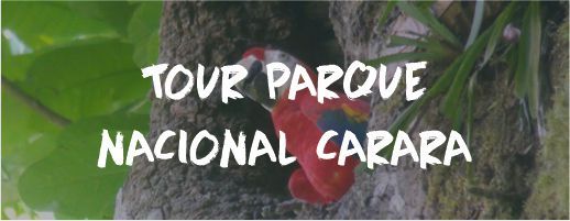 Tour Parque Nacional Carara Despedida Soltero Soltera Costa Rica Paradise Events Tour Parque Nacional Carara Despedida Soltero Soltera Costa Rica Paradise Events