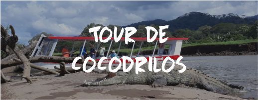 Tour de Cocodrilos Despedida Soltero Soltera Costa Rica Paradise Events Tour de Cocodrilos Despedida Soltero Soltera Costa Rica Paradise Events