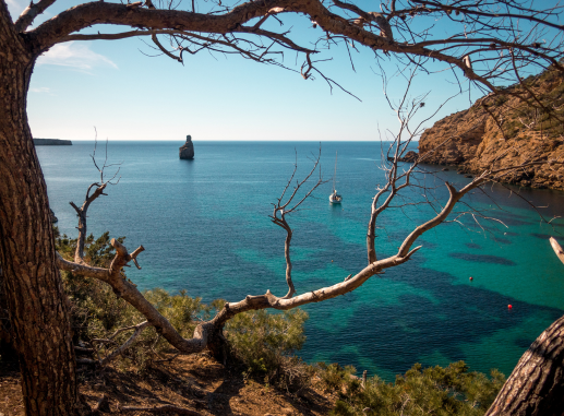 Ibiza Despedida de Soltera y Soltero Paradise Events