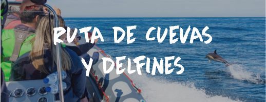 Ruta de Cuevas y Delfines Algarve Despedida Soltero Soltera Paradise Events