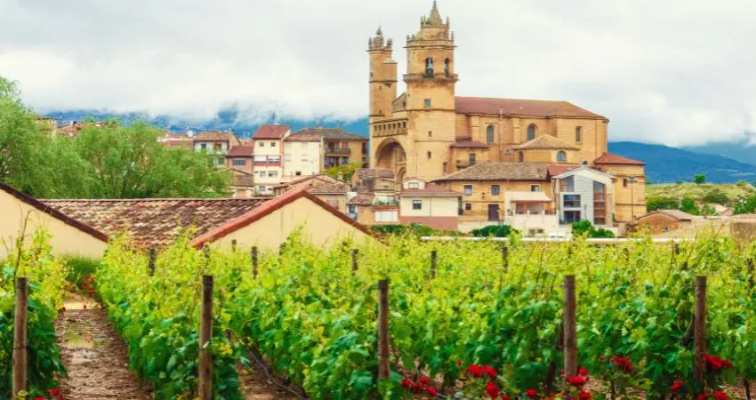 Qué ver en 3 días en La Rioja: vino, cultura y el mejor plan para tu despedida